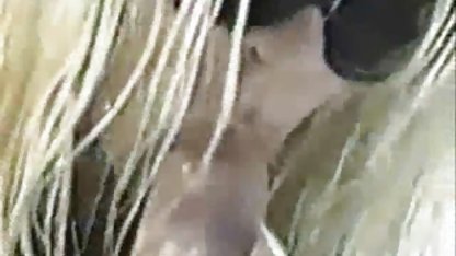 , دو جوان کانال سکسی خاله الکسیس لزبین سکسی نوازش یکدیگر و بوسه